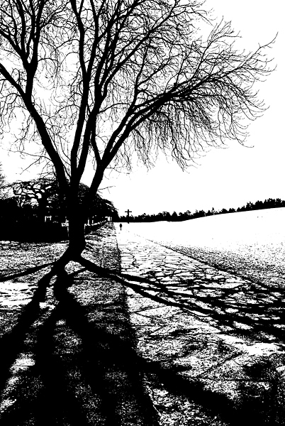 Lennart_W_B_04.jpg - Skogskyrkog�rden