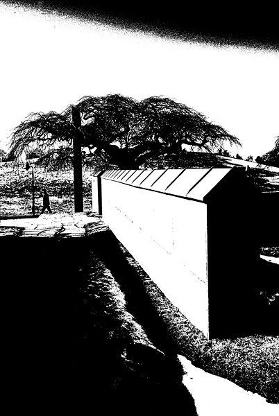 Lennart_W_B_05.jpg - Skogskyrkog�rden