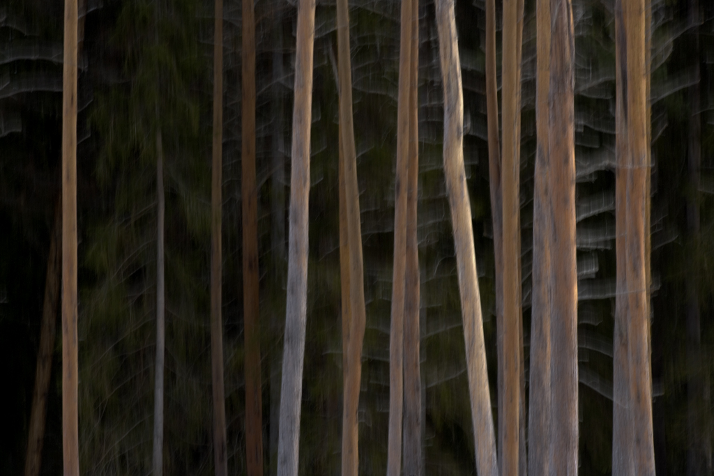 2a sture back 01.jpg - 2:a Sture B�ck (Bild 1)