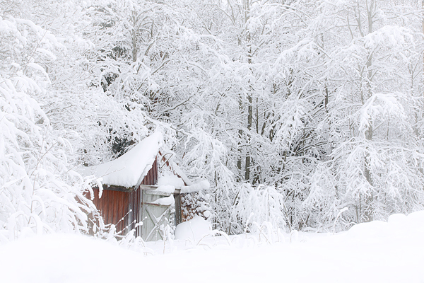 Sture Bäck Sture Bäck