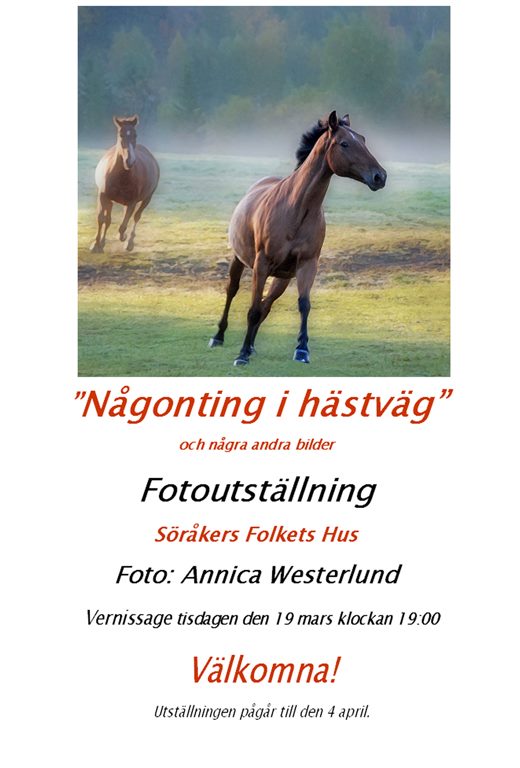 734417_556288757737688_1553032937_n