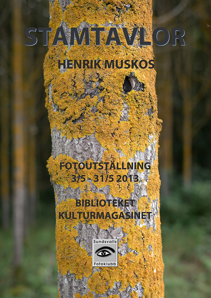 Biblioteket2013_1024