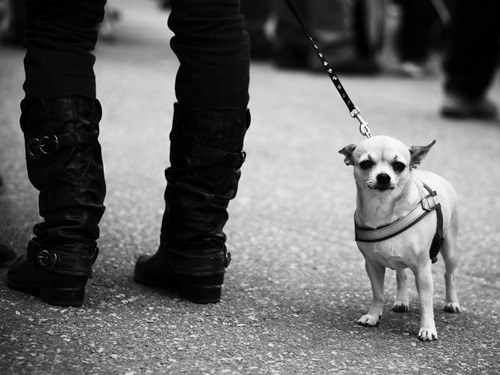 02_johnny_lindgren_st