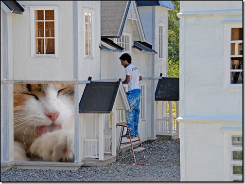 16_björn_wiklund_st