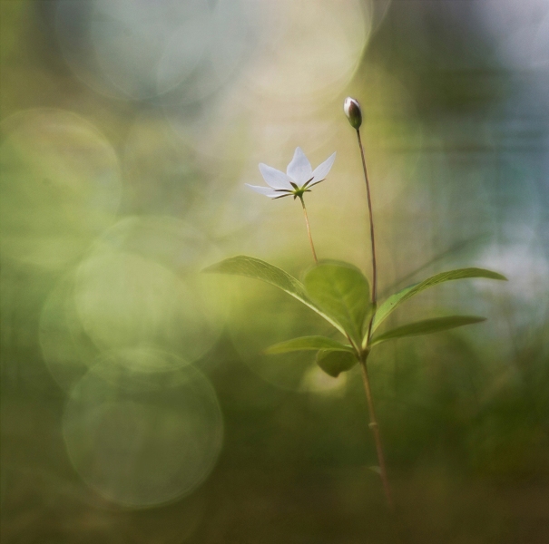 Foto: Urban Rundblom