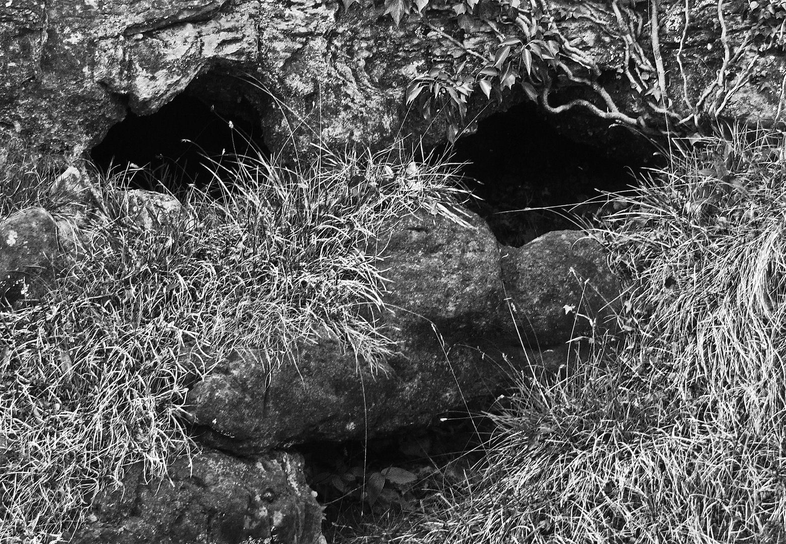 vartavling_2014_klass_a_04