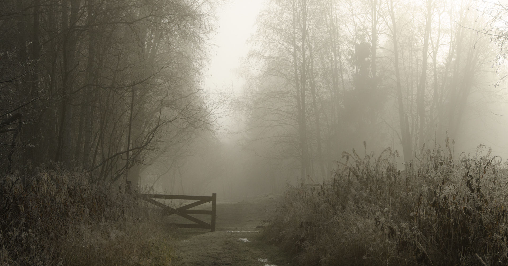 vartavling_2014_klass_a_08