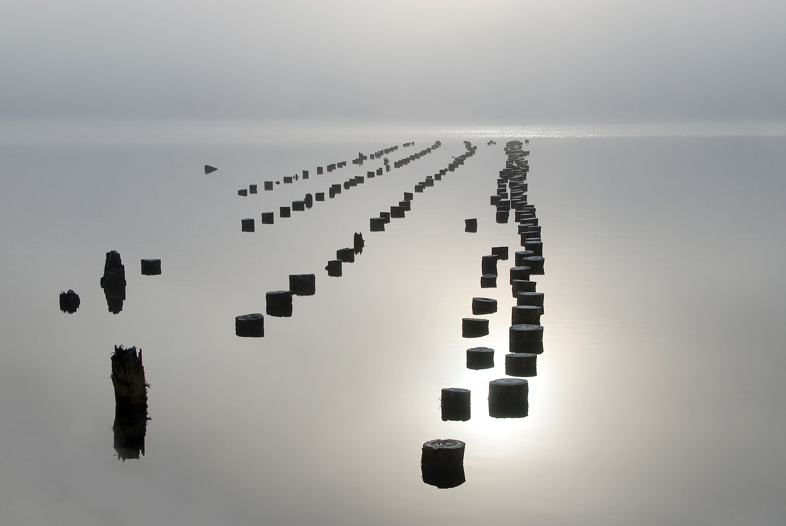 vartavling_2014_klass_c_09