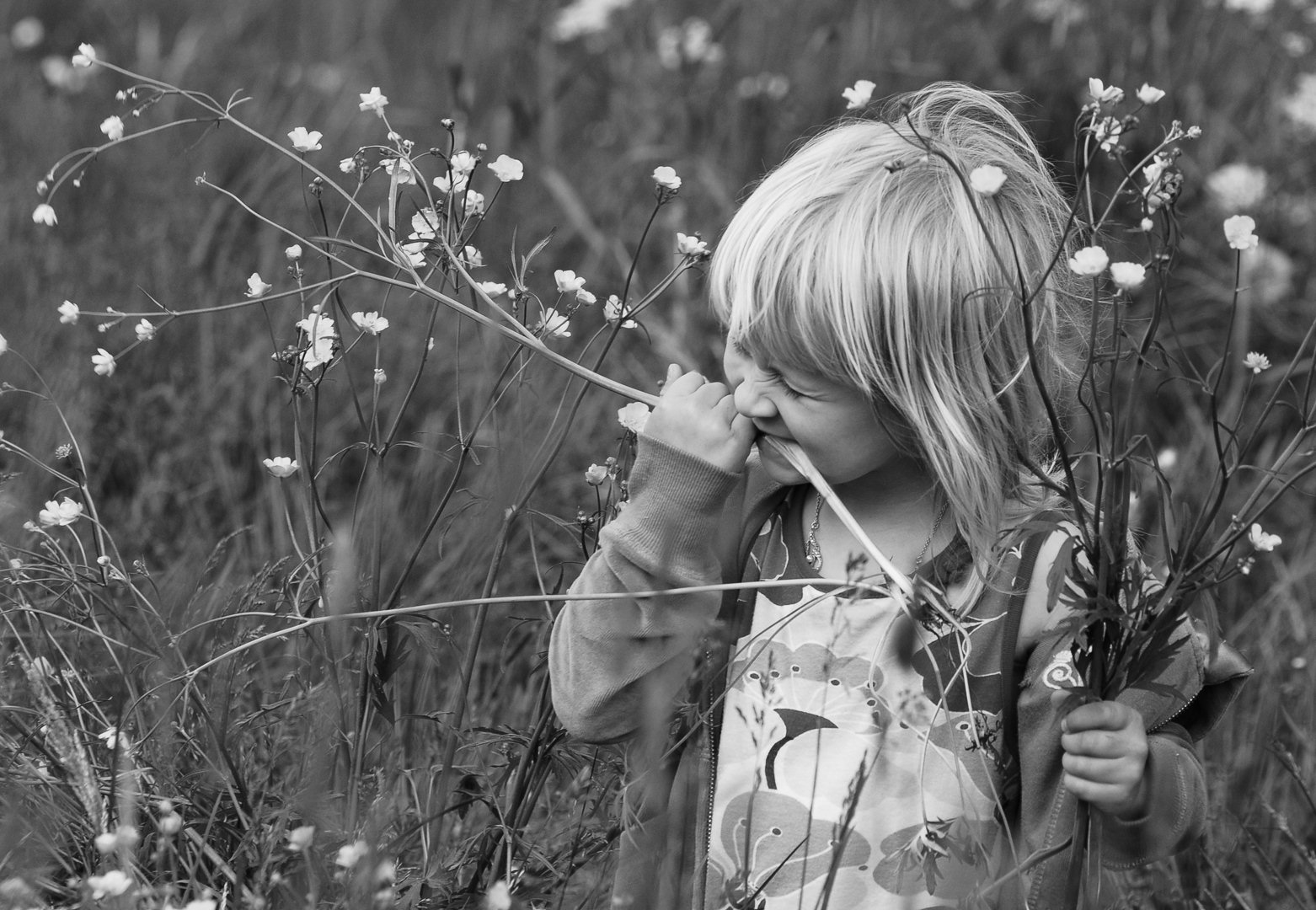 Foto: Johnny Lindgren 