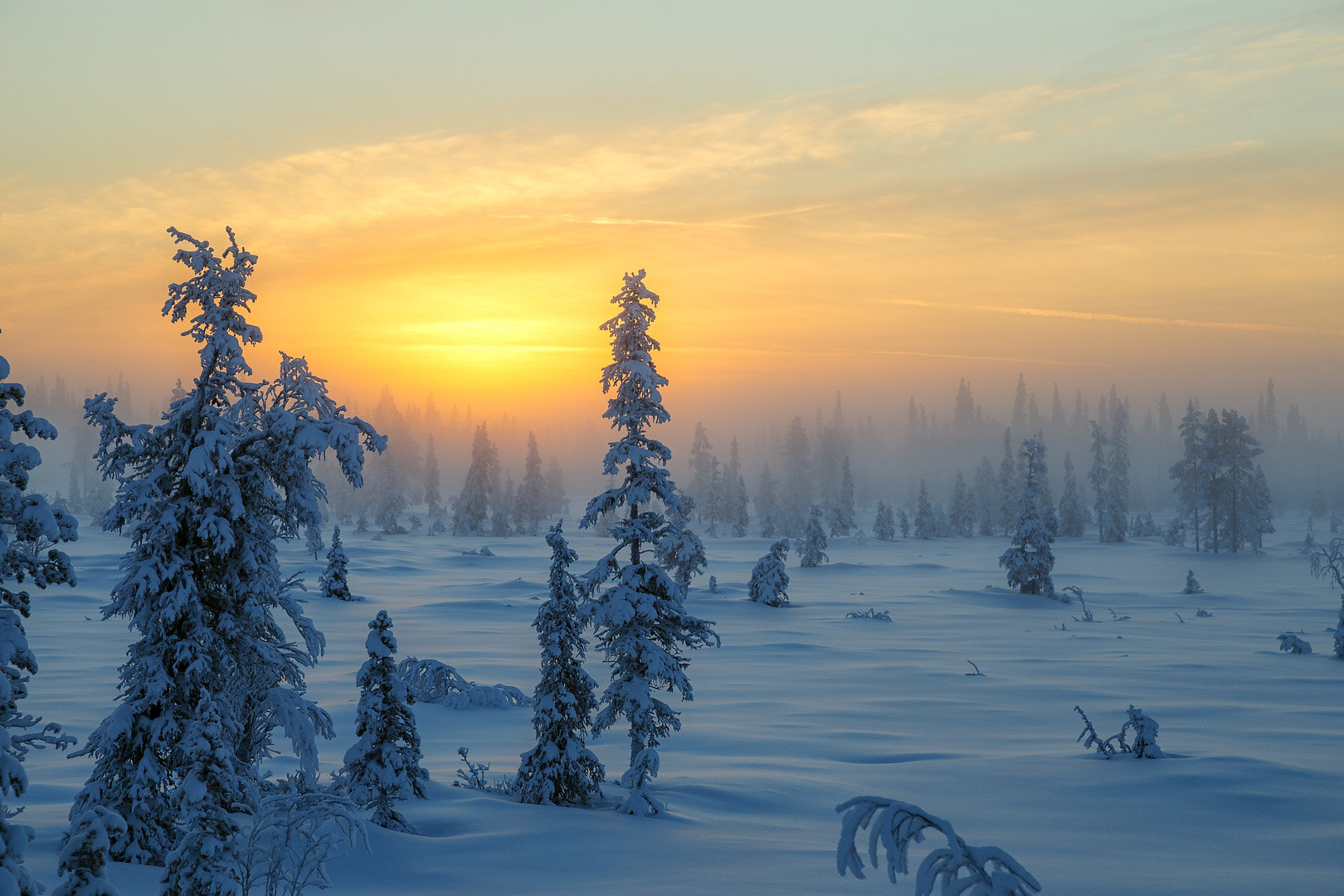 vartavling_2014_klass_d_06