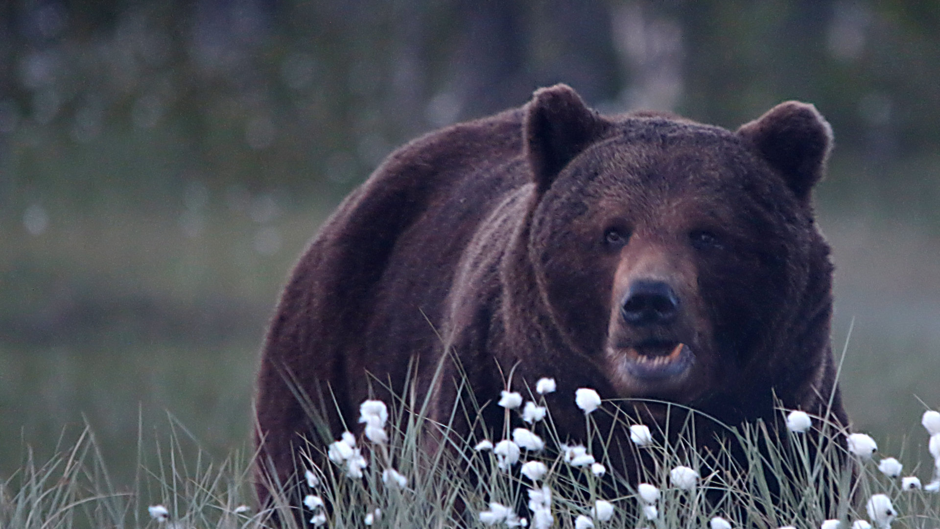 vartavling_2014_klass_d_07