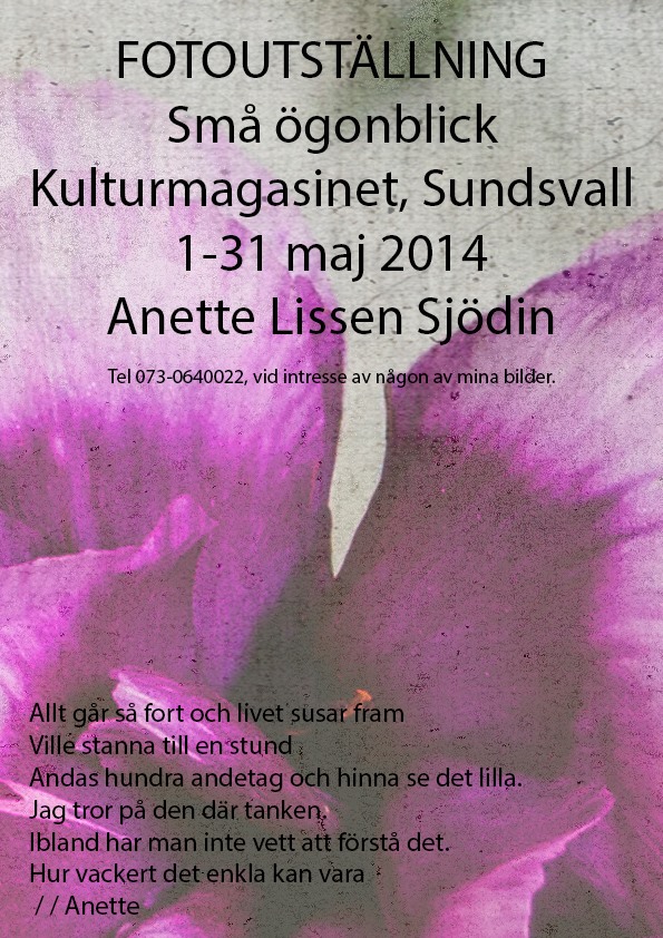 10268717_10152192236959480_2728217921775582763_n