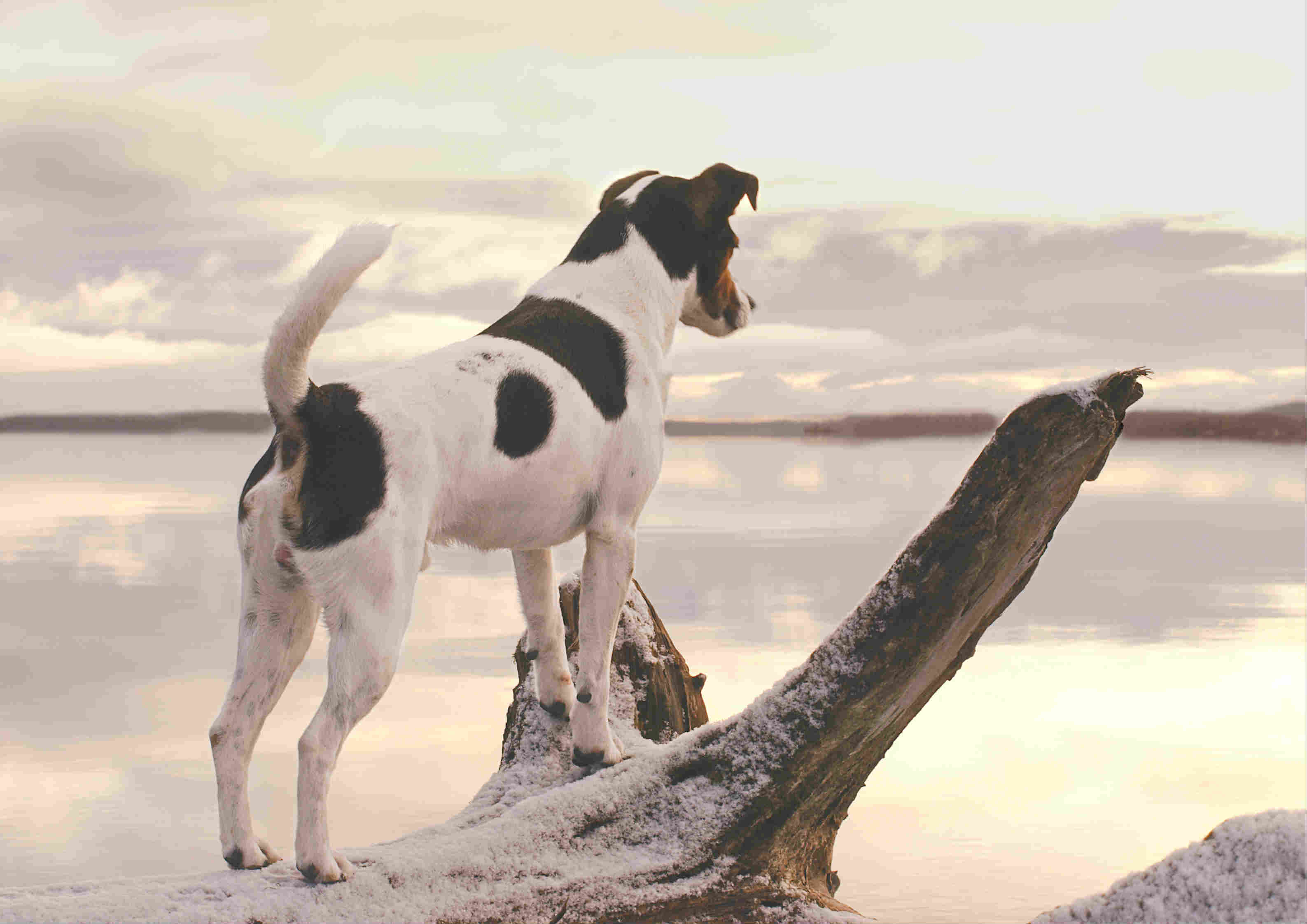 Foto: Ann-Marie Stålgren