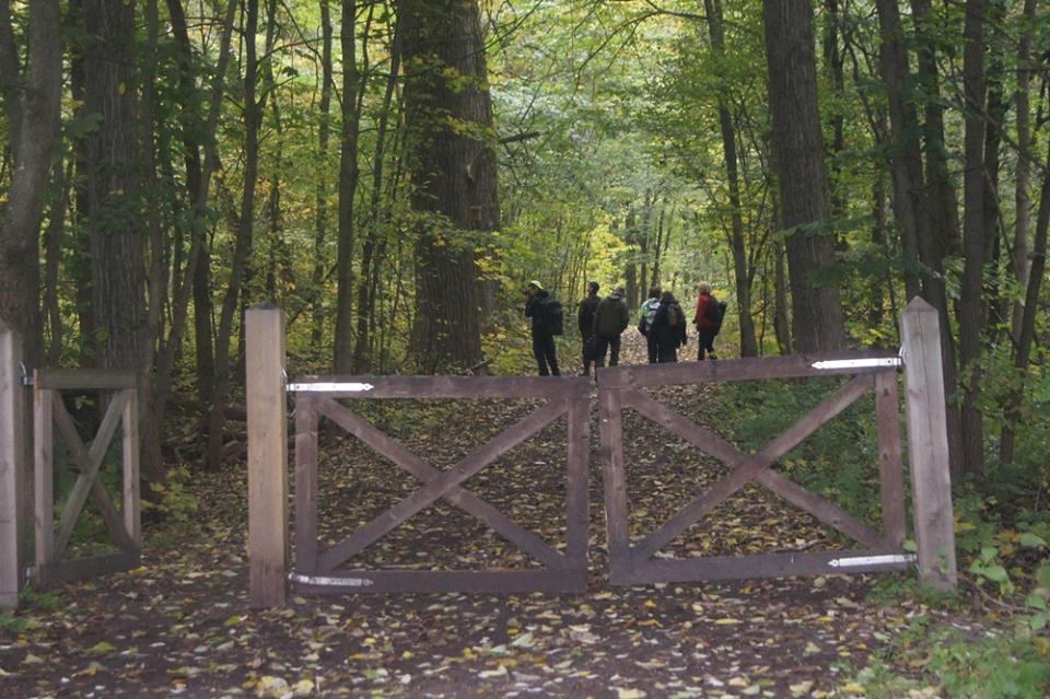 Foto: Ingrid Näsholm