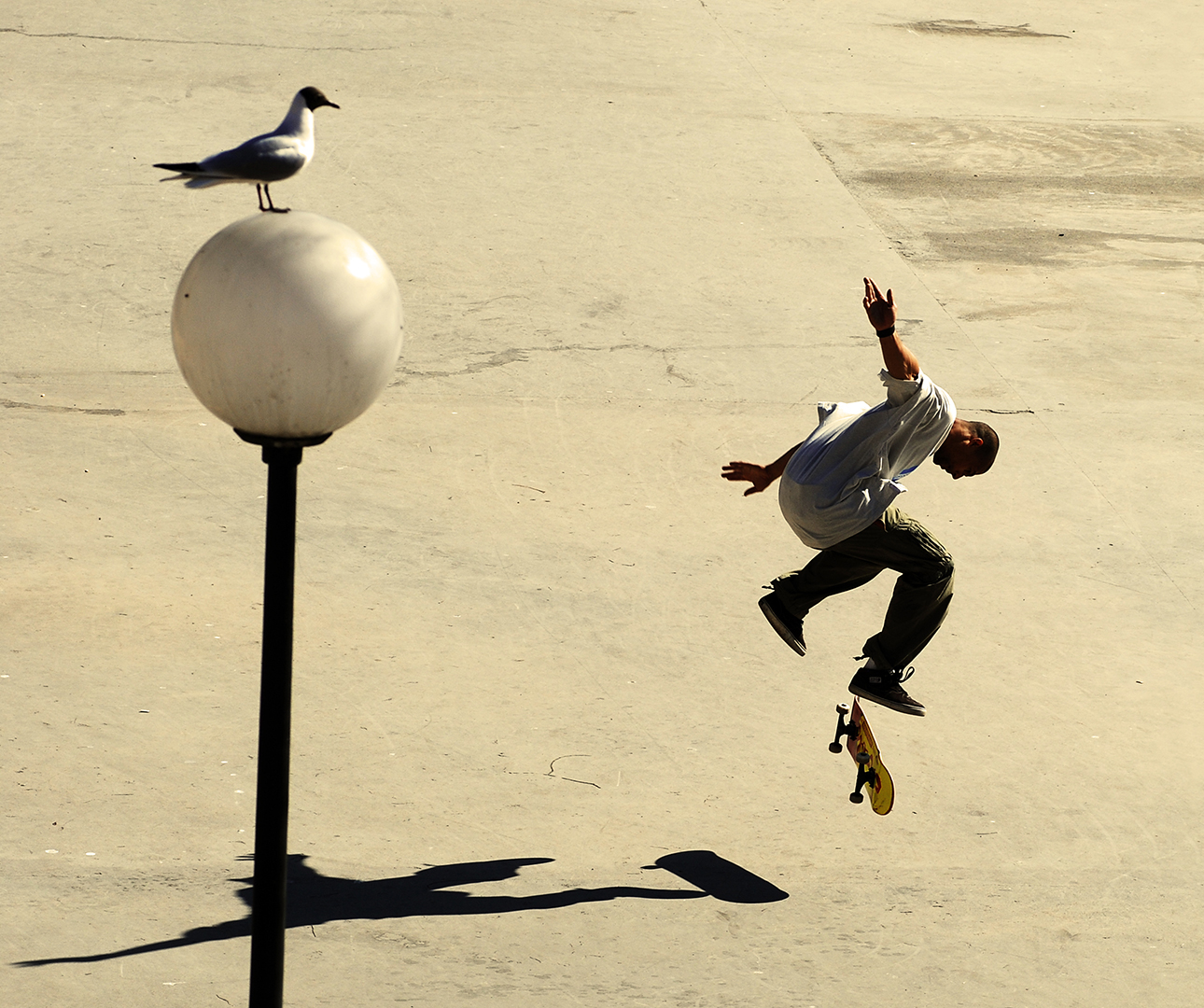 Foto: Johnny Lindgren