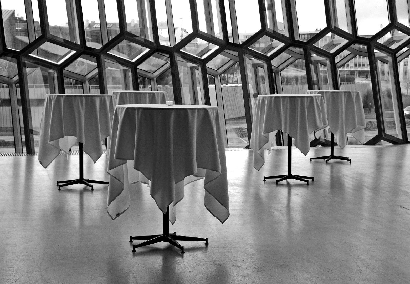 8_Björn W 3 påsikt