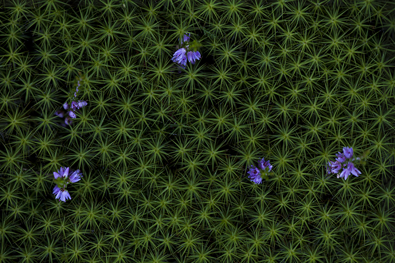 Foto: Sara Vesterlund