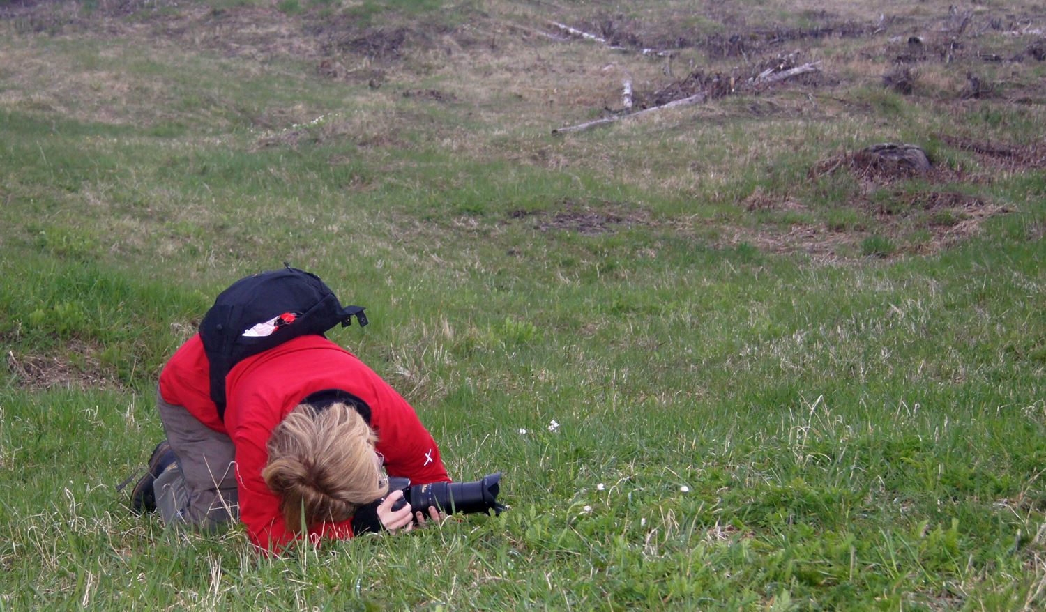 Foto: Ingrid Näsholm