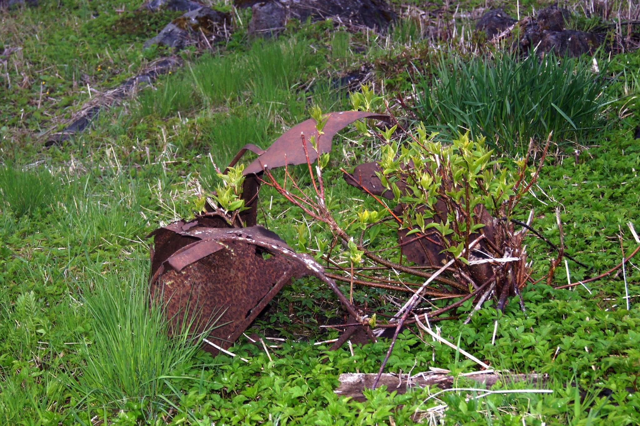 Foto: Ingrid Näsholm