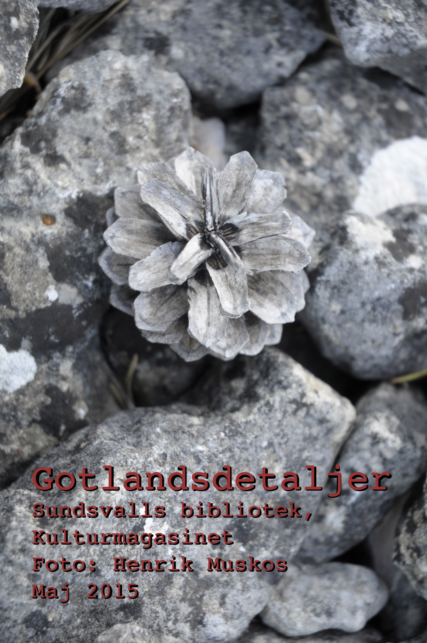 ÖstergarnskoteBibliotek